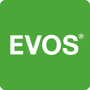 Логотип клиента Evos