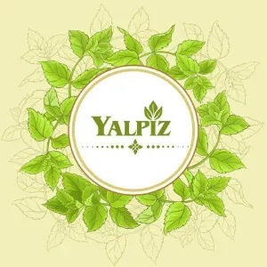 Логотип клиента Yalpiz
